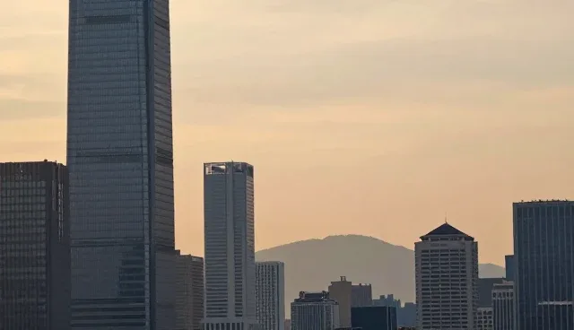 技术咨询中的系统设计适用情况与限制分析